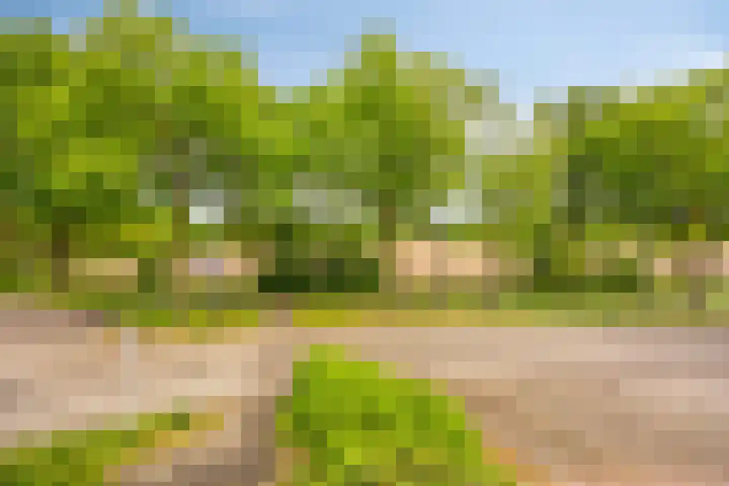 Hoff van Hollantlaan 11 Rosmalen thumbnail 26