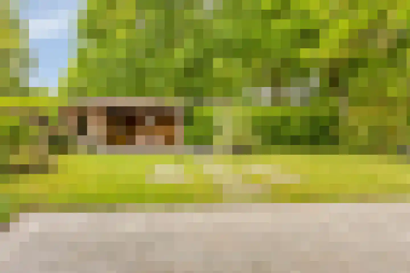 Hoff van Hollantlaan 11 Rosmalen thumbnail 35