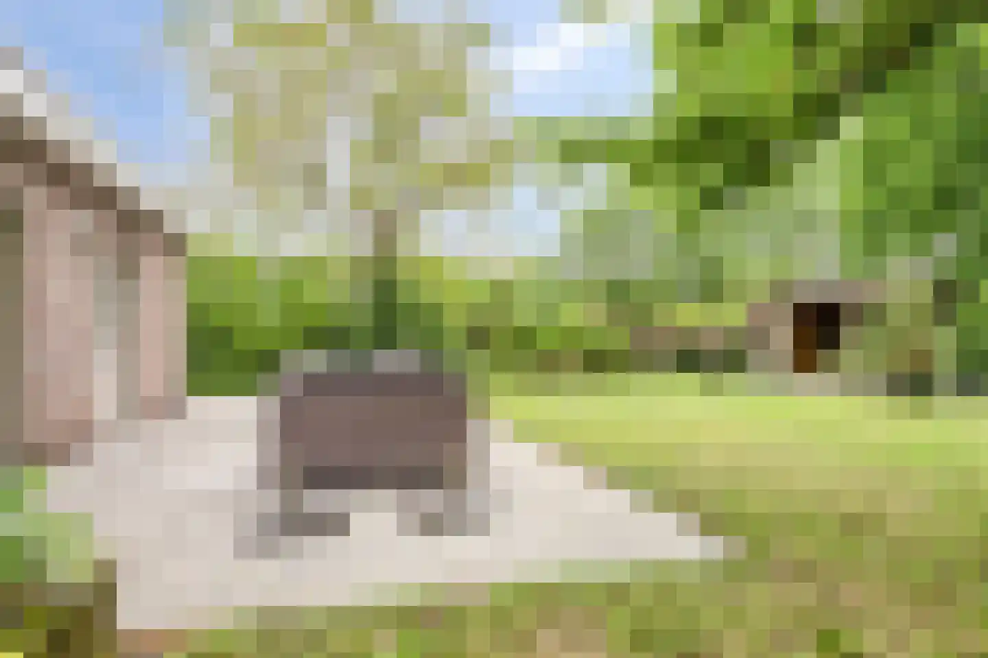 Hoff van Hollantlaan 11 Rosmalen thumbnail 37