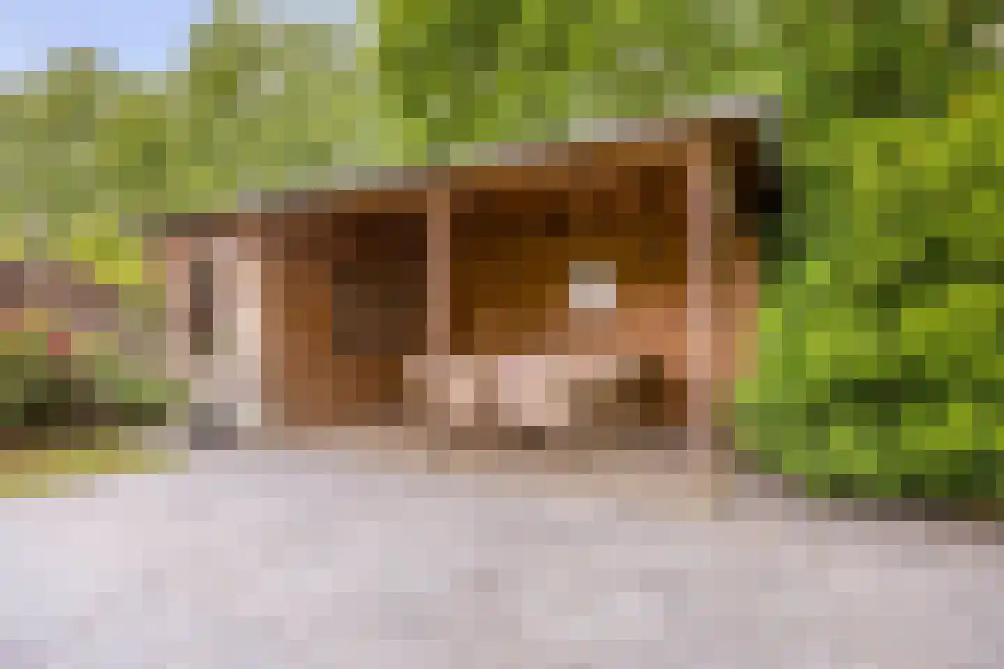 Hoff van Hollantlaan 11 Rosmalen thumbnail 39