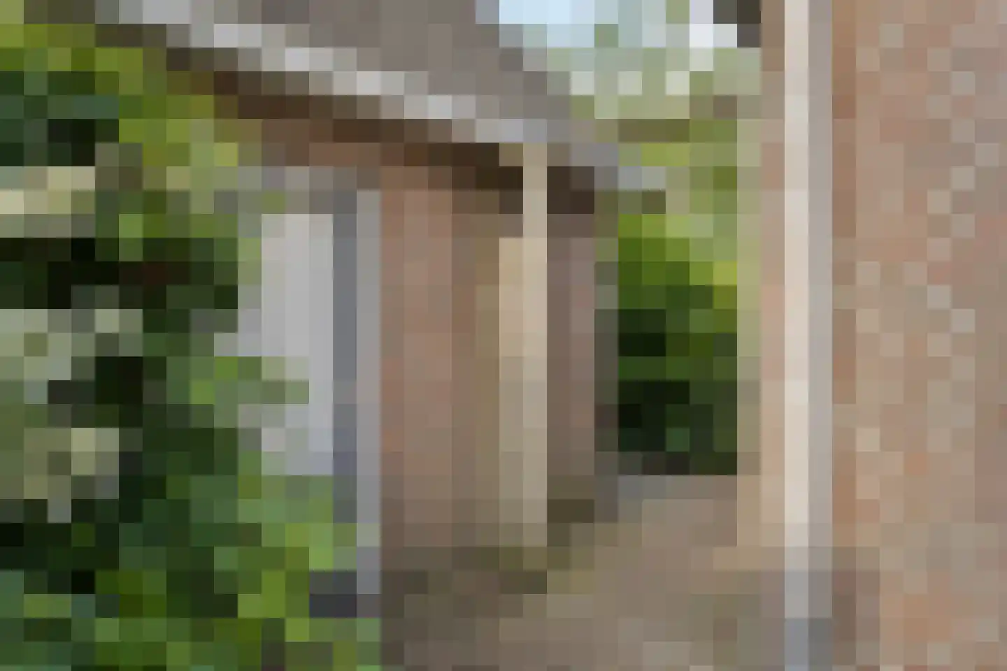 Hoff van Hollantlaan 11 Rosmalen thumbnail 46