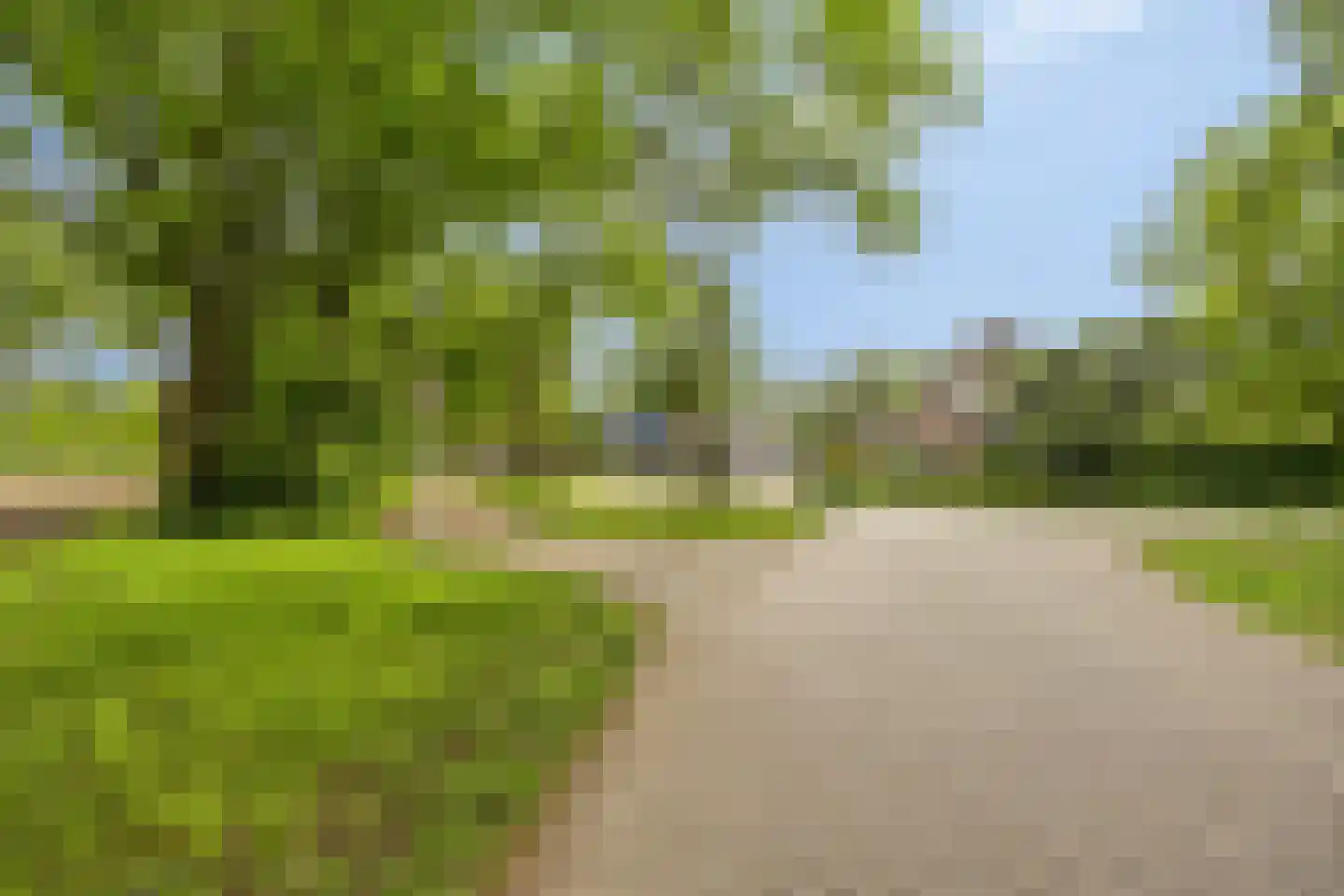 Hoff van Hollantlaan 11 Rosmalen thumbnail 50