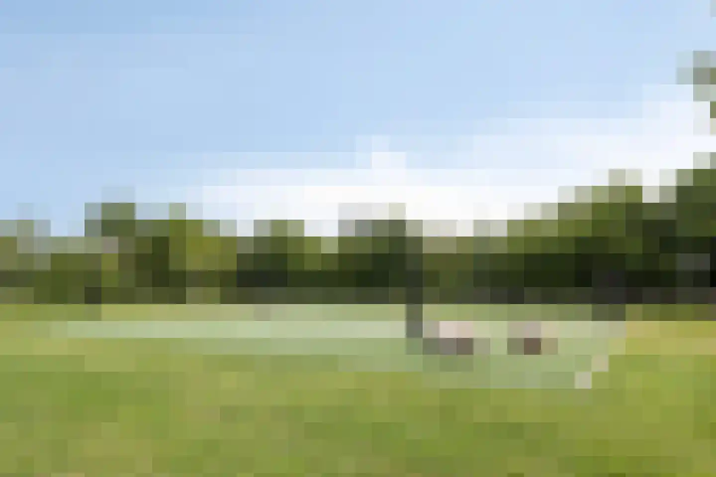 Hoff van Hollantlaan 11 Rosmalen thumbnail 57