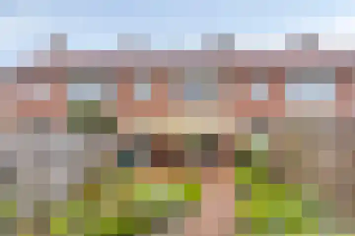 Hoffesstraat 19 Holten thumbnail 23