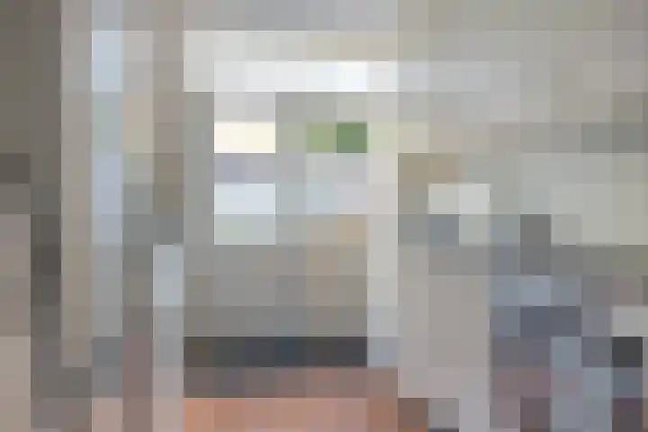 Hoffesstraat 19 Holten thumbnail 8