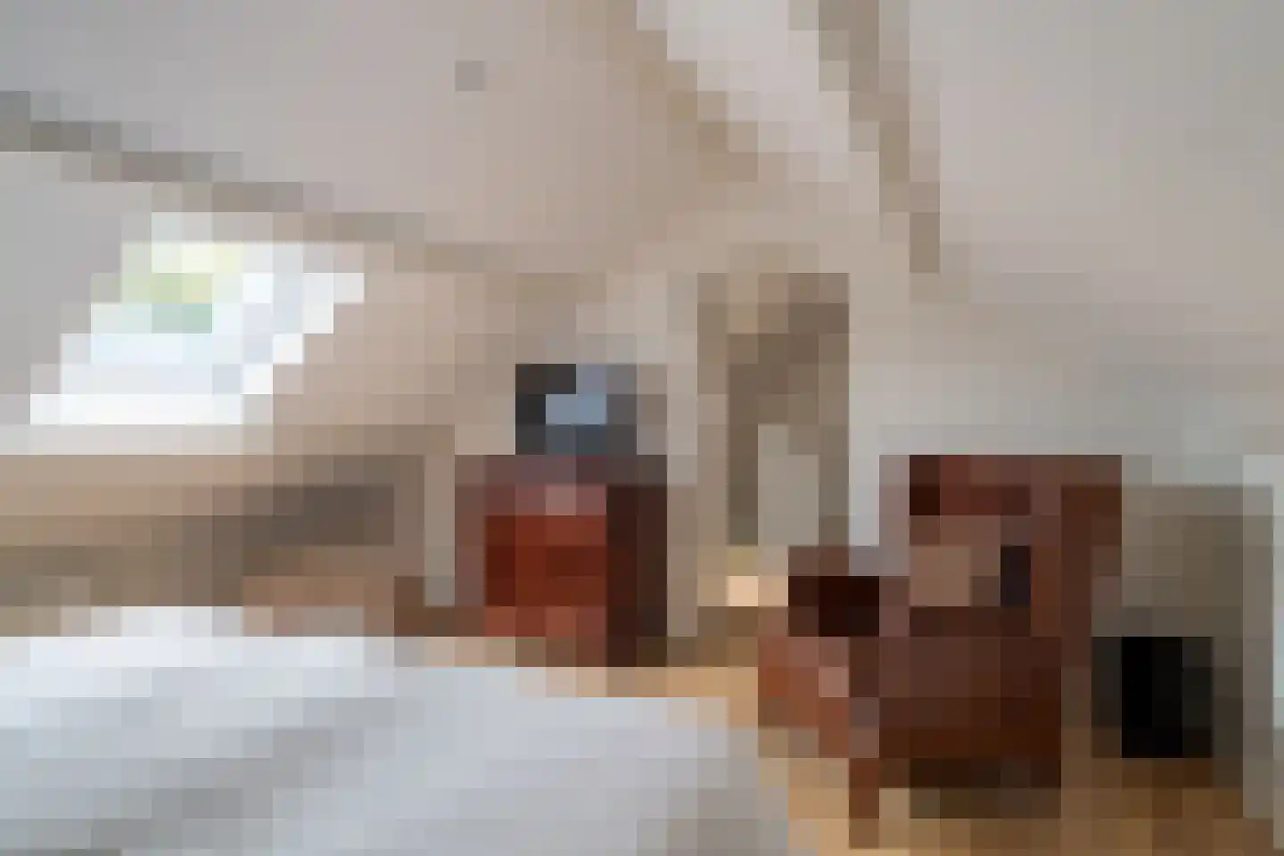 Hofflaan 15 Andel thumbnail 24