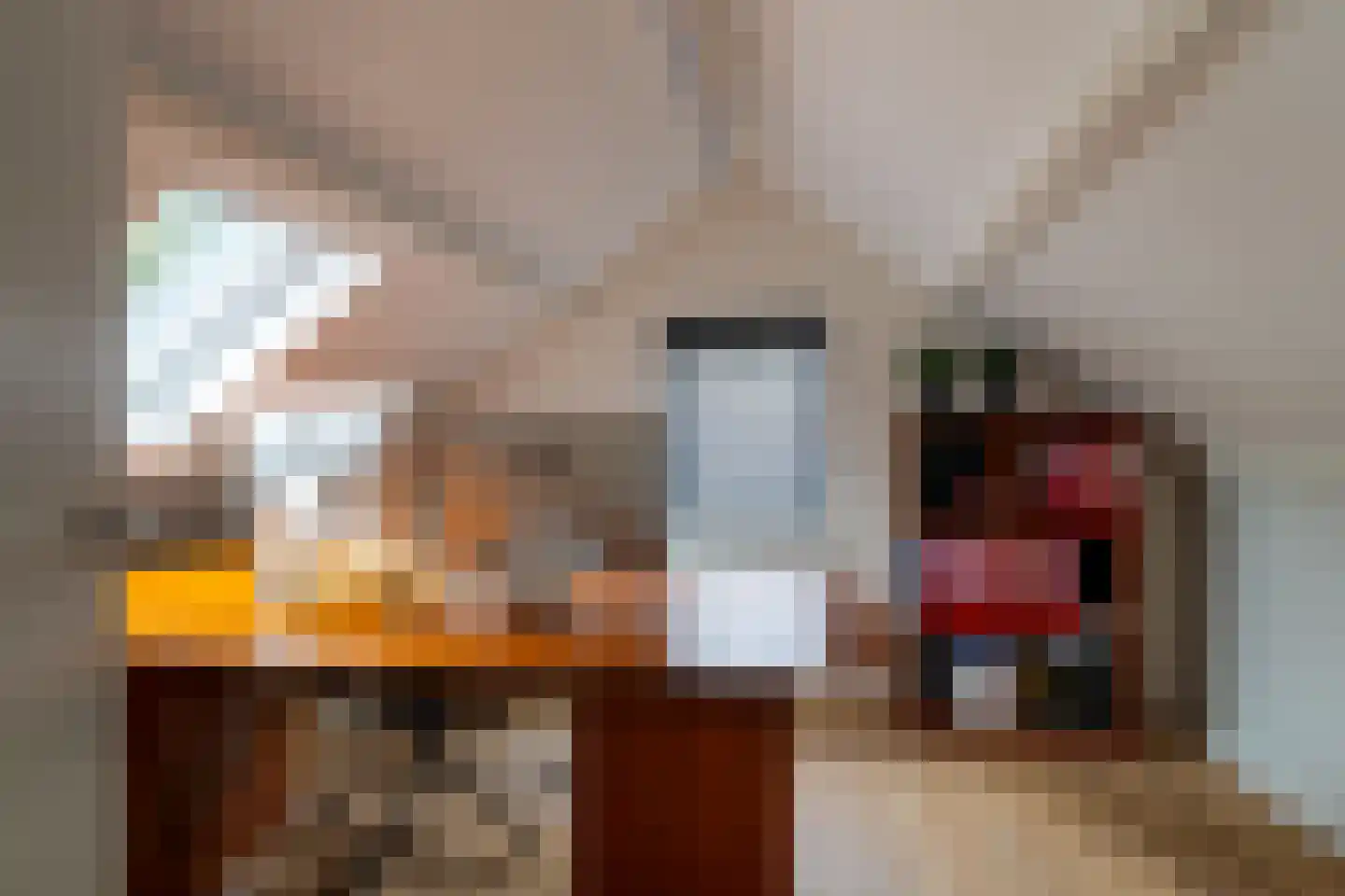 Hofflaan 15 Andel thumbnail 25
