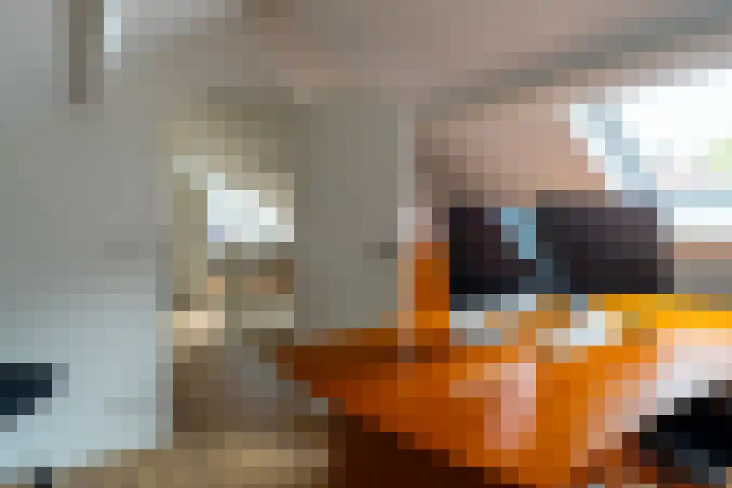 Hofflaan 15 Andel thumbnail 26