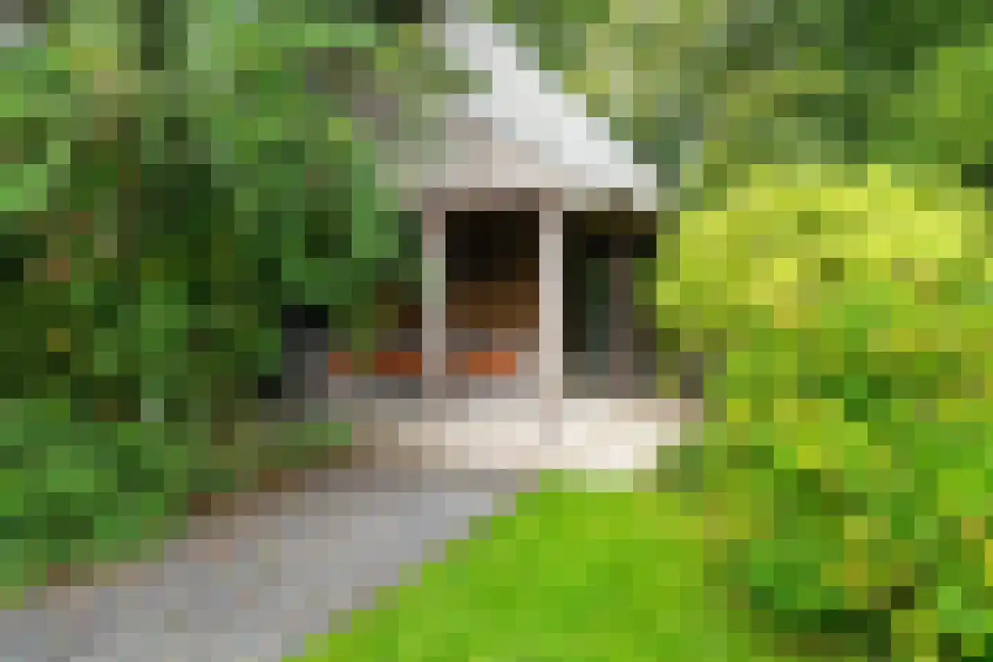 Hofflaan 17 Andel thumbnail 4