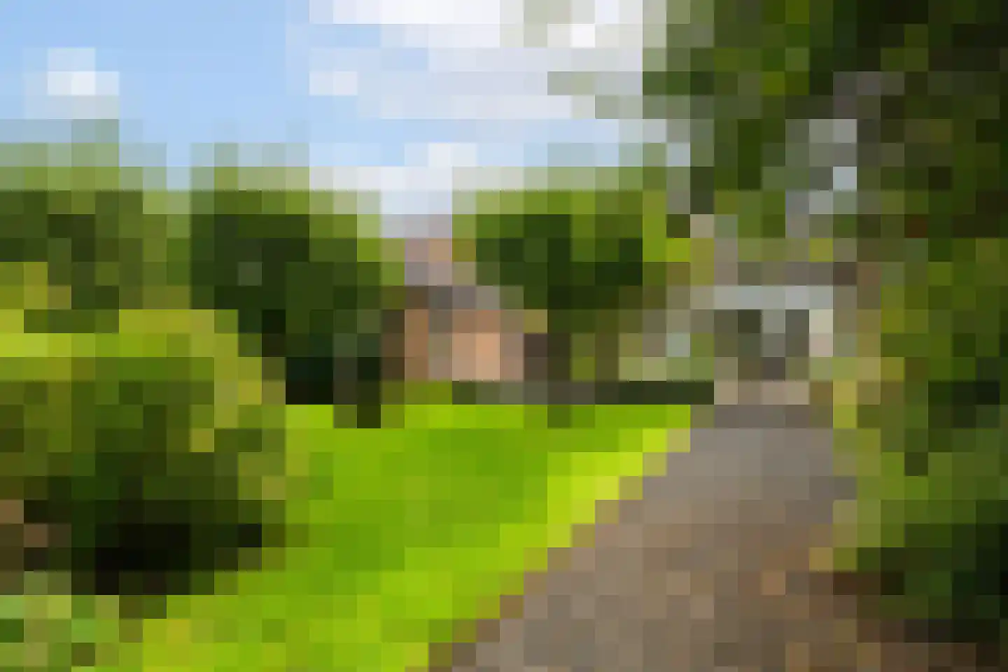 Hofflaan 17 Andel thumbnail 42
