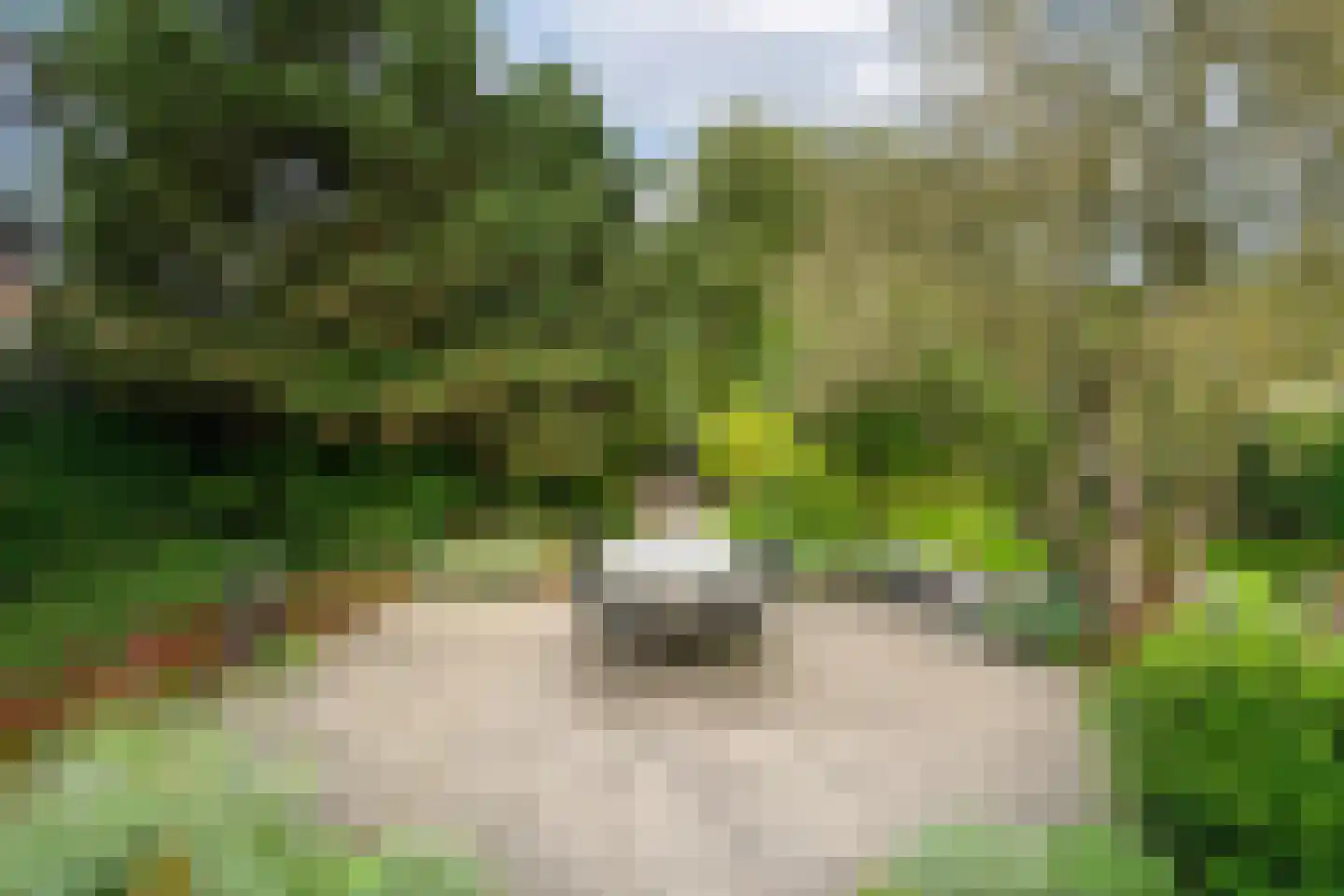 Hofflaan 17 Andel thumbnail 43