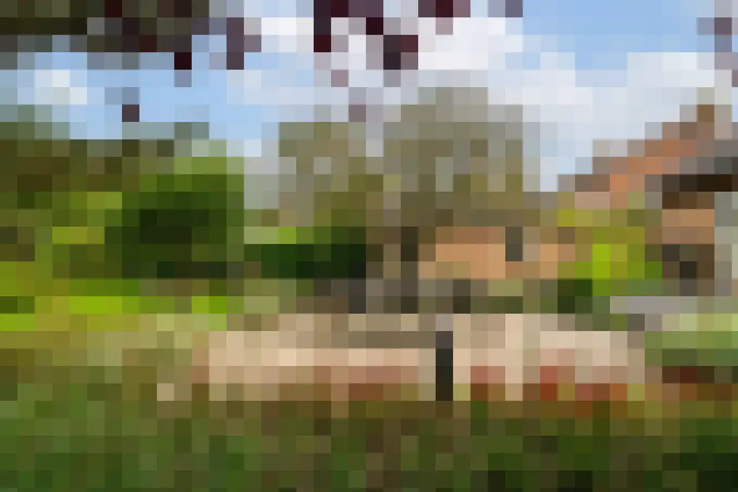 Hofflaan 17 Andel thumbnail 45