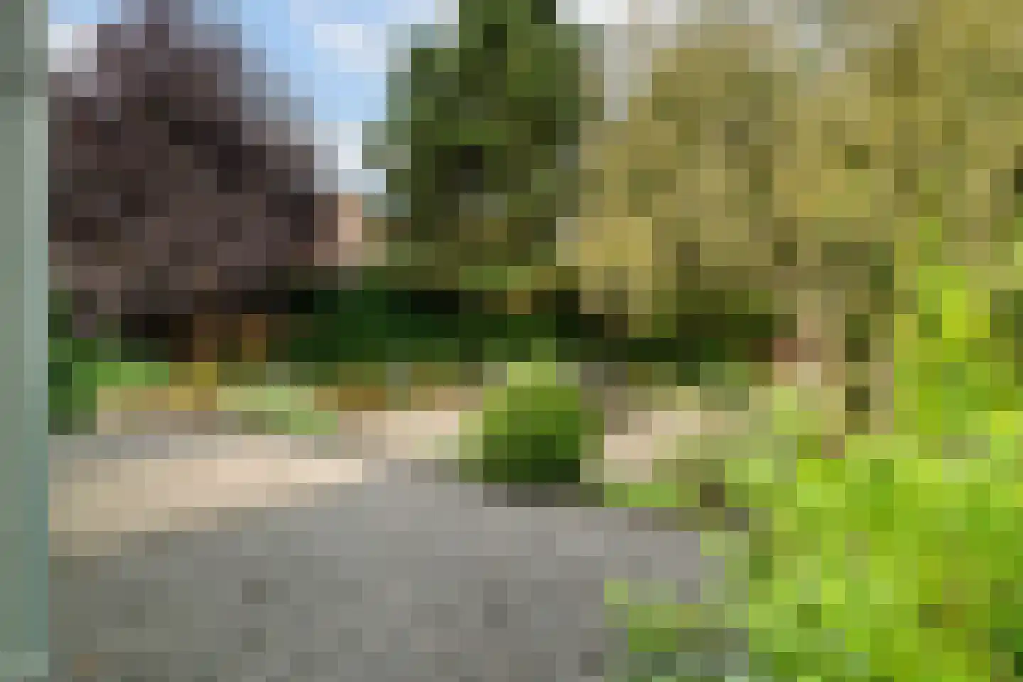 Hofflaan 17 Andel thumbnail 46