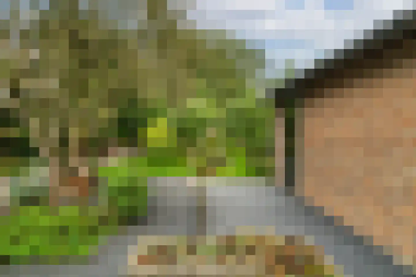 Hofflaan 17 Andel thumbnail 47
