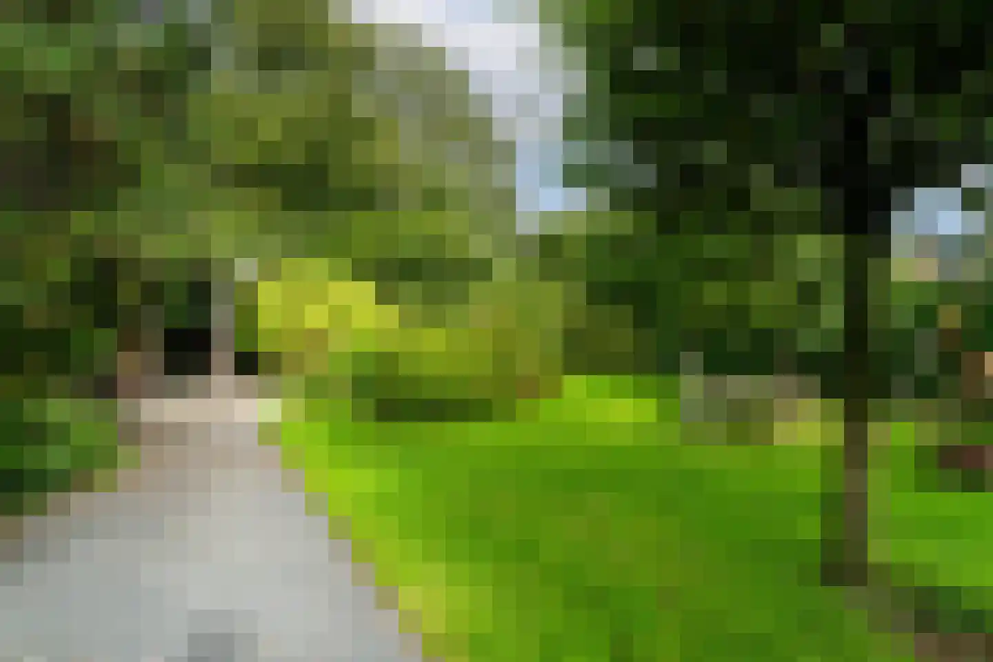 Hofflaan 17 Andel thumbnail 49