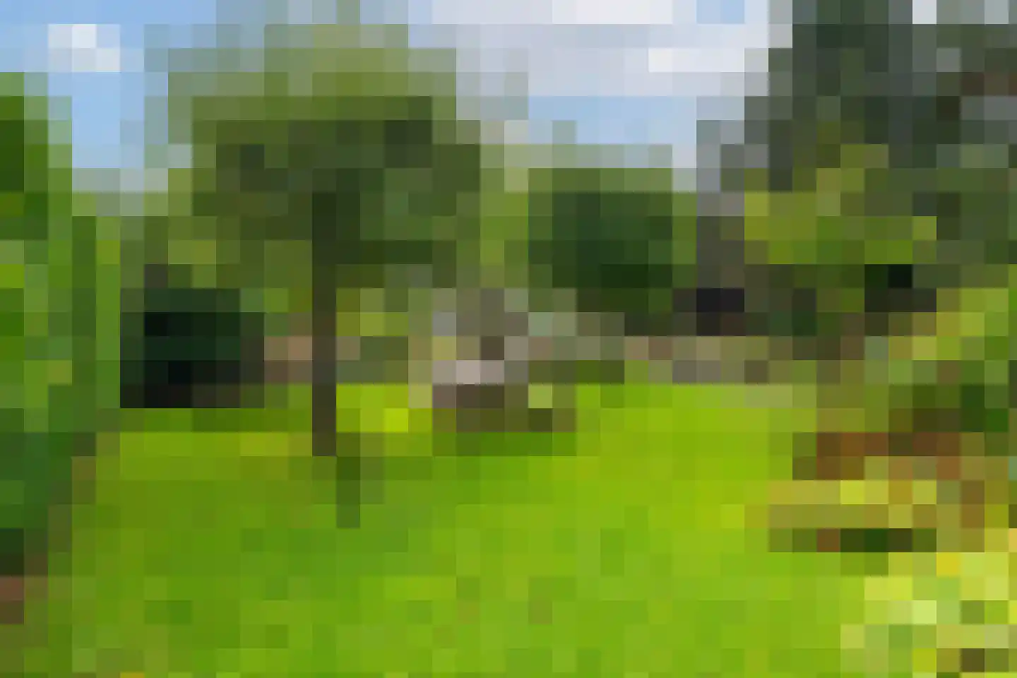 Hofflaan 17 Andel thumbnail 5