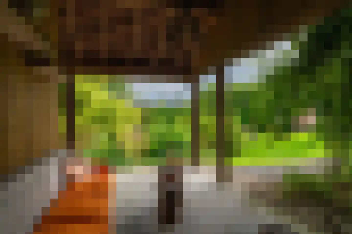 Hofflaan 17 Andel thumbnail 50