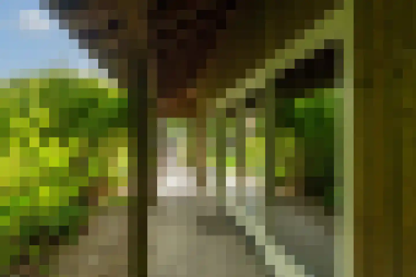 Hofflaan 17 Andel thumbnail 51