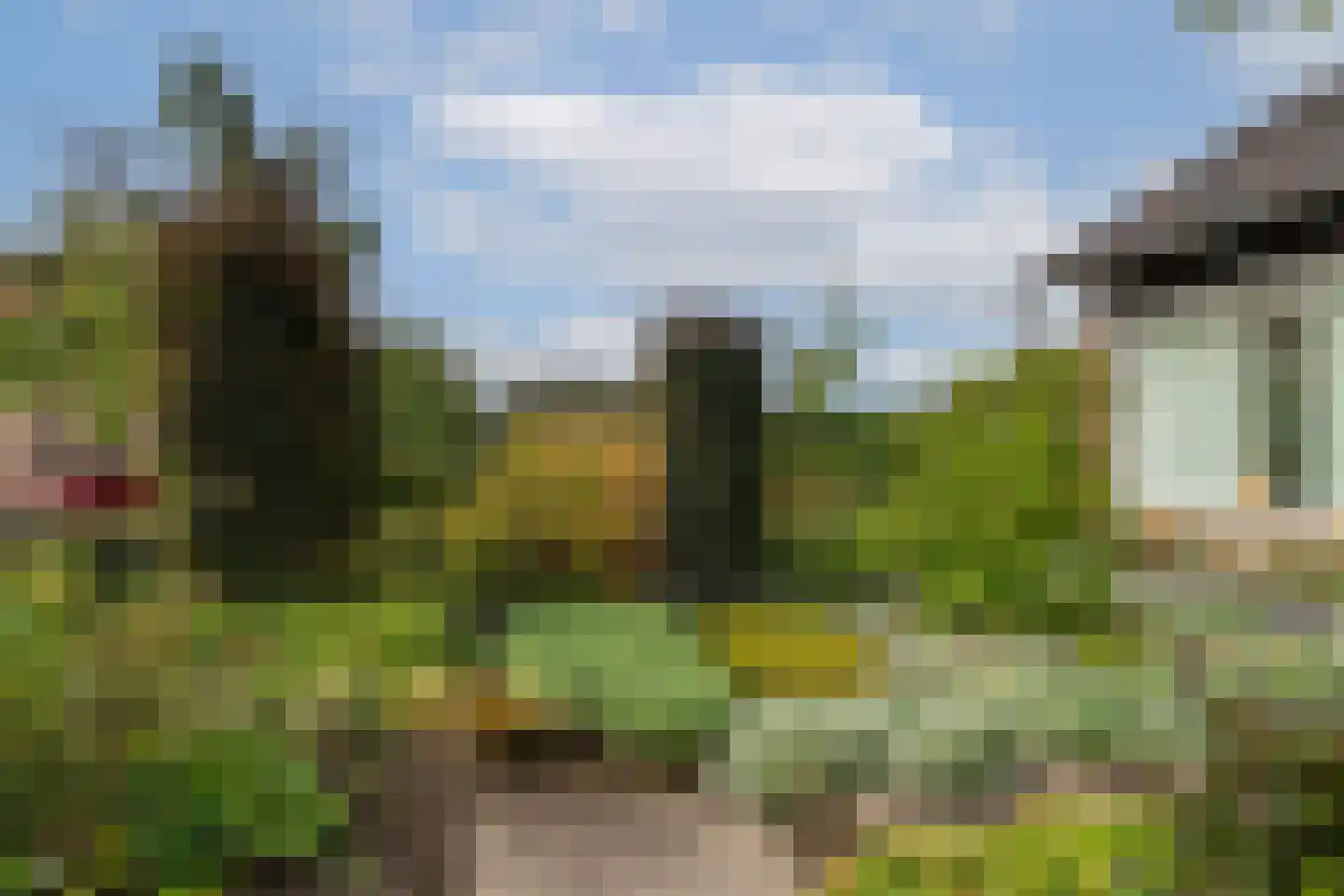 Hofflaan 17 Andel thumbnail 9