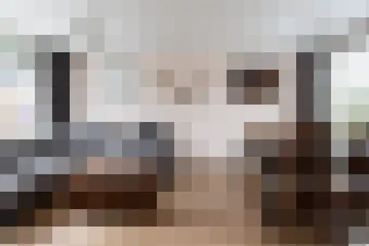 Hofflaan 22 Andel thumbnail 11
