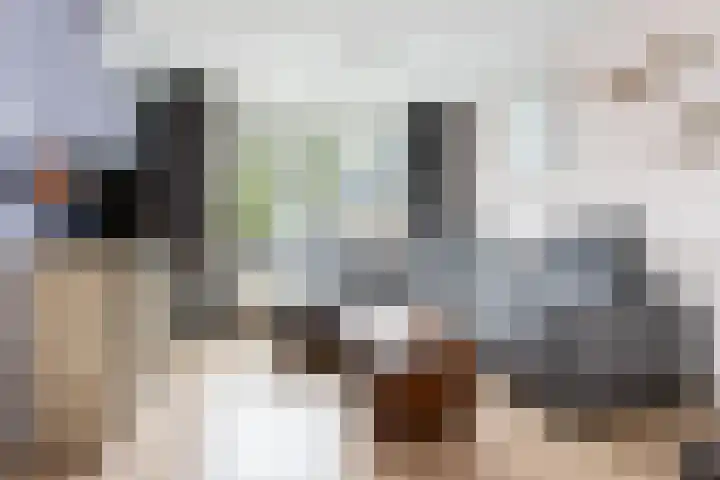 Hofflaan 22 Andel thumbnail 12