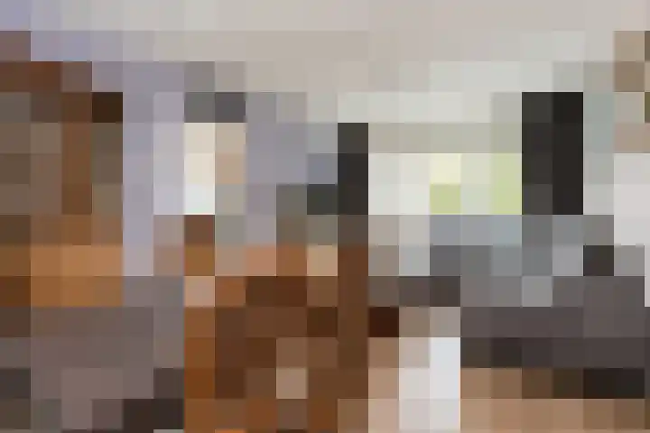 Hofflaan 22 Andel thumbnail 13