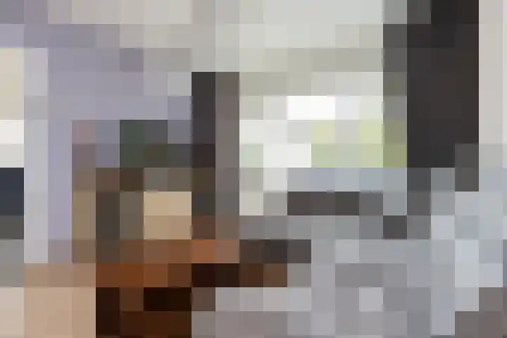Hofflaan 22 Andel thumbnail 14