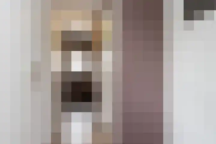Hofflaan 22 Andel thumbnail 19