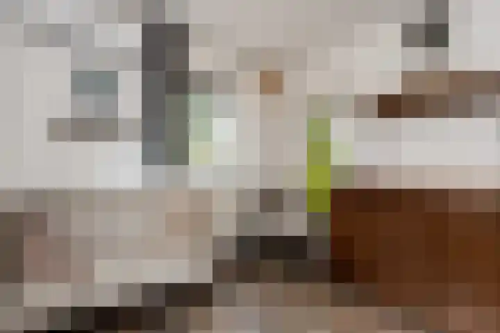 Hofflaan 22 Andel thumbnail 26