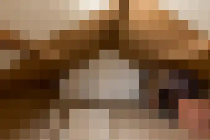 Hofflaan 22 Andel thumbnail 31