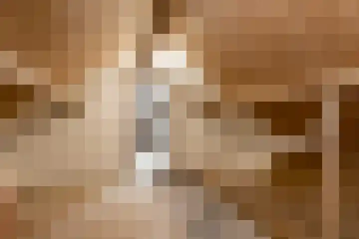 Hofflaan 22 Andel thumbnail 32