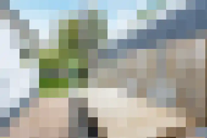 Hofflaan 22 Andel thumbnail 42