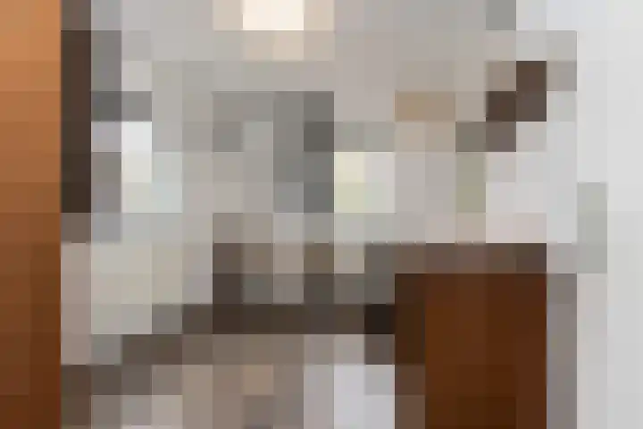 Hofflaan 22 Andel thumbnail 5