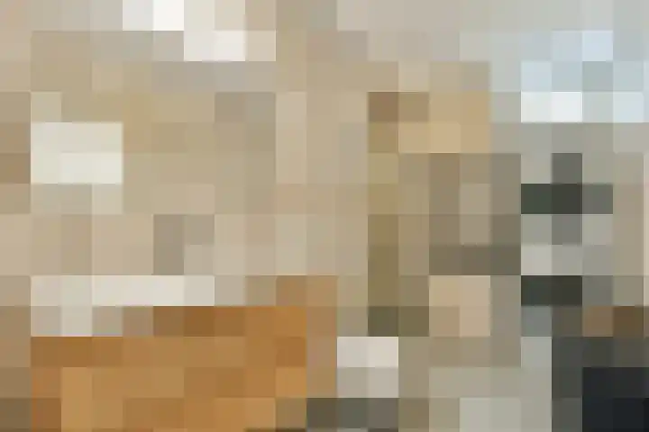 Hofgeest 10 Amsterdam thumbnail 13