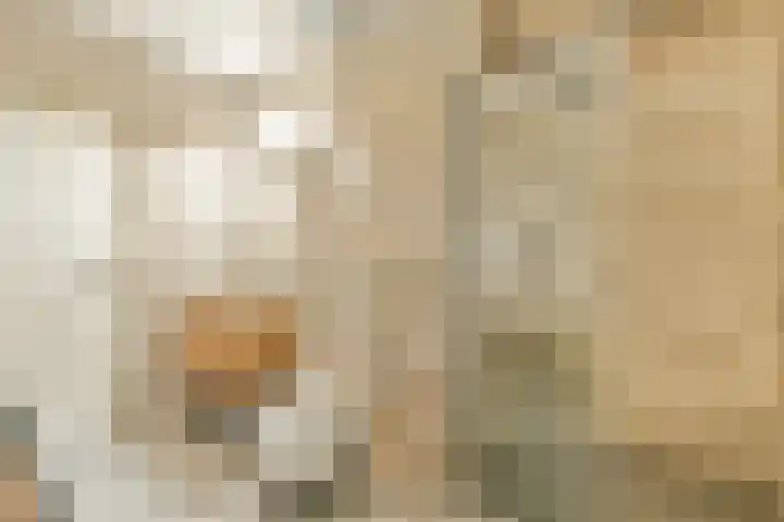 Hofgeest 10 Amsterdam thumbnail 14