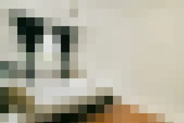 Hofgeest 10 Amsterdam thumbnail 17