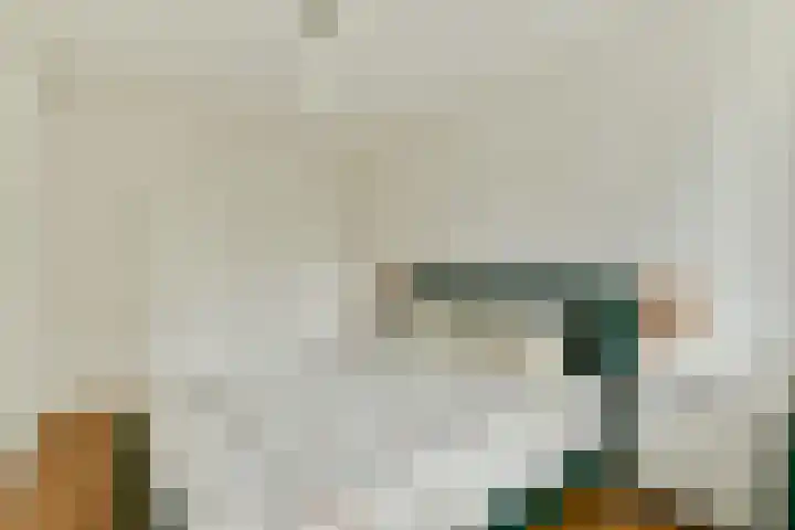 Hofgeest 10 Amsterdam thumbnail 18
