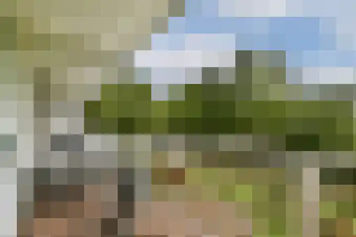 Hofgeest 10 Amsterdam thumbnail 4