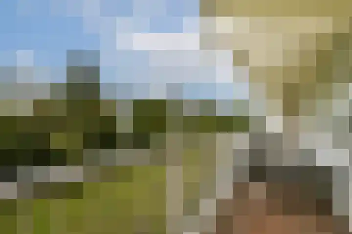 Hofgeest 10 Amsterdam thumbnail 6
