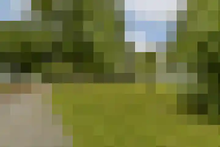 Hofgeest 10 Amsterdam thumbnail 7