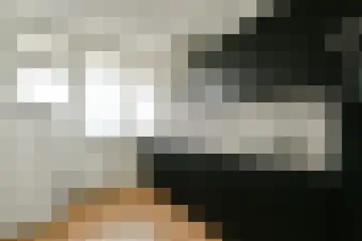 Hofgeest 10 Amsterdam thumbnail 9