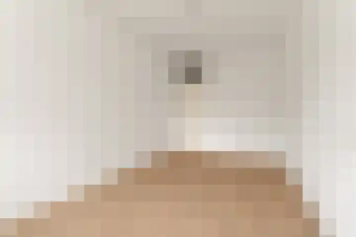 Hofgeest 11 Amsterdam thumbnail 13