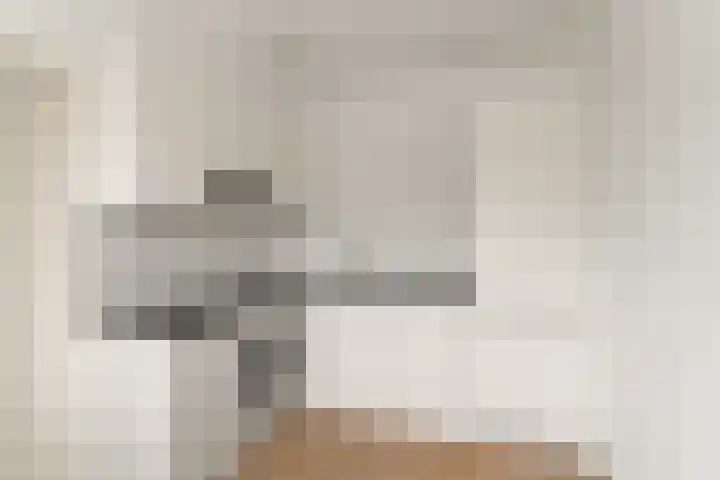 Hofgeest 11 Amsterdam thumbnail 14