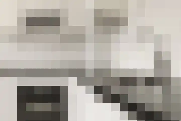 Hofgeest 11 Amsterdam thumbnail 15