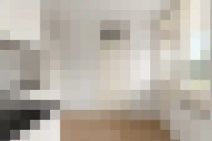 Hofgeest 11 Amsterdam thumbnail 16