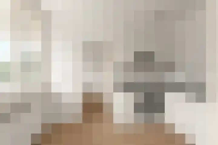 Hofgeest 11 Amsterdam thumbnail 17