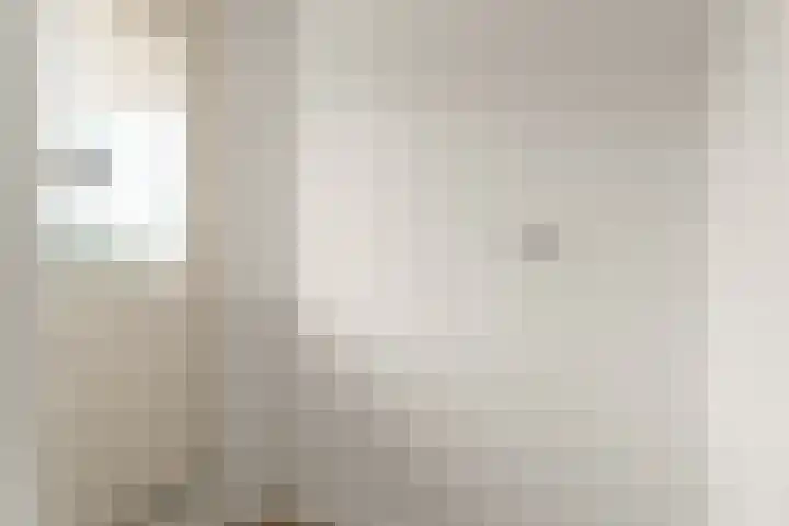 Hofgeest 11 Amsterdam thumbnail 19