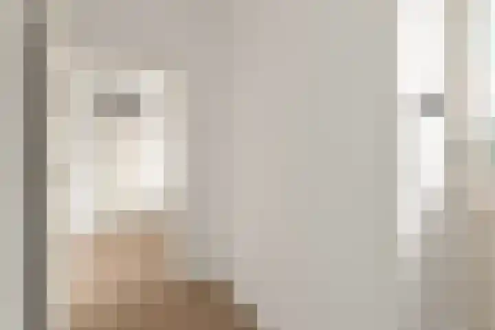 Hofgeest 11 Amsterdam thumbnail 20
