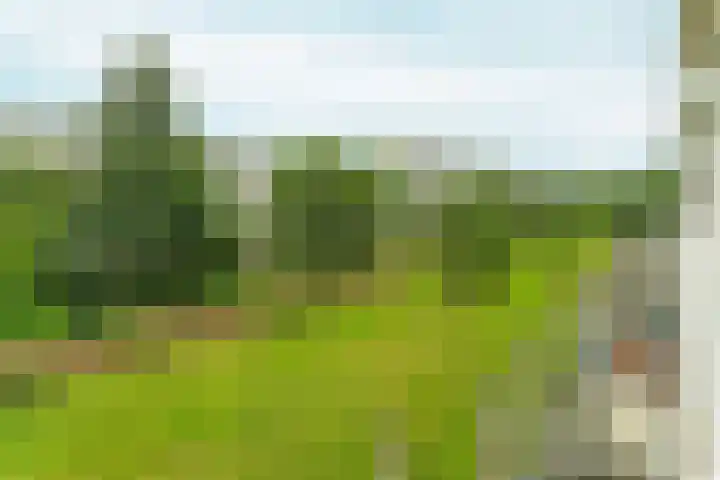 Hofgeest 11 Amsterdam thumbnail 24