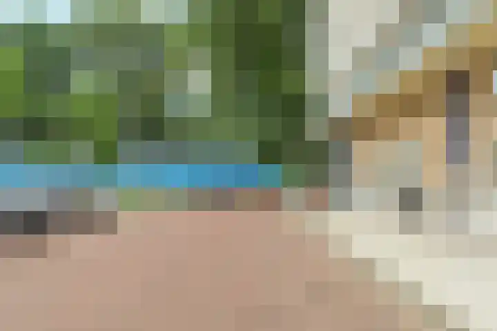 Hofgeest 11 Amsterdam thumbnail 29